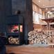 Камінна піч Jotul F 520 BP 55803 фото 6