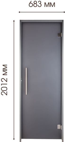 Двері для хамаму Tesli Antalya Graphite Sateen 2000х700 016209 фото